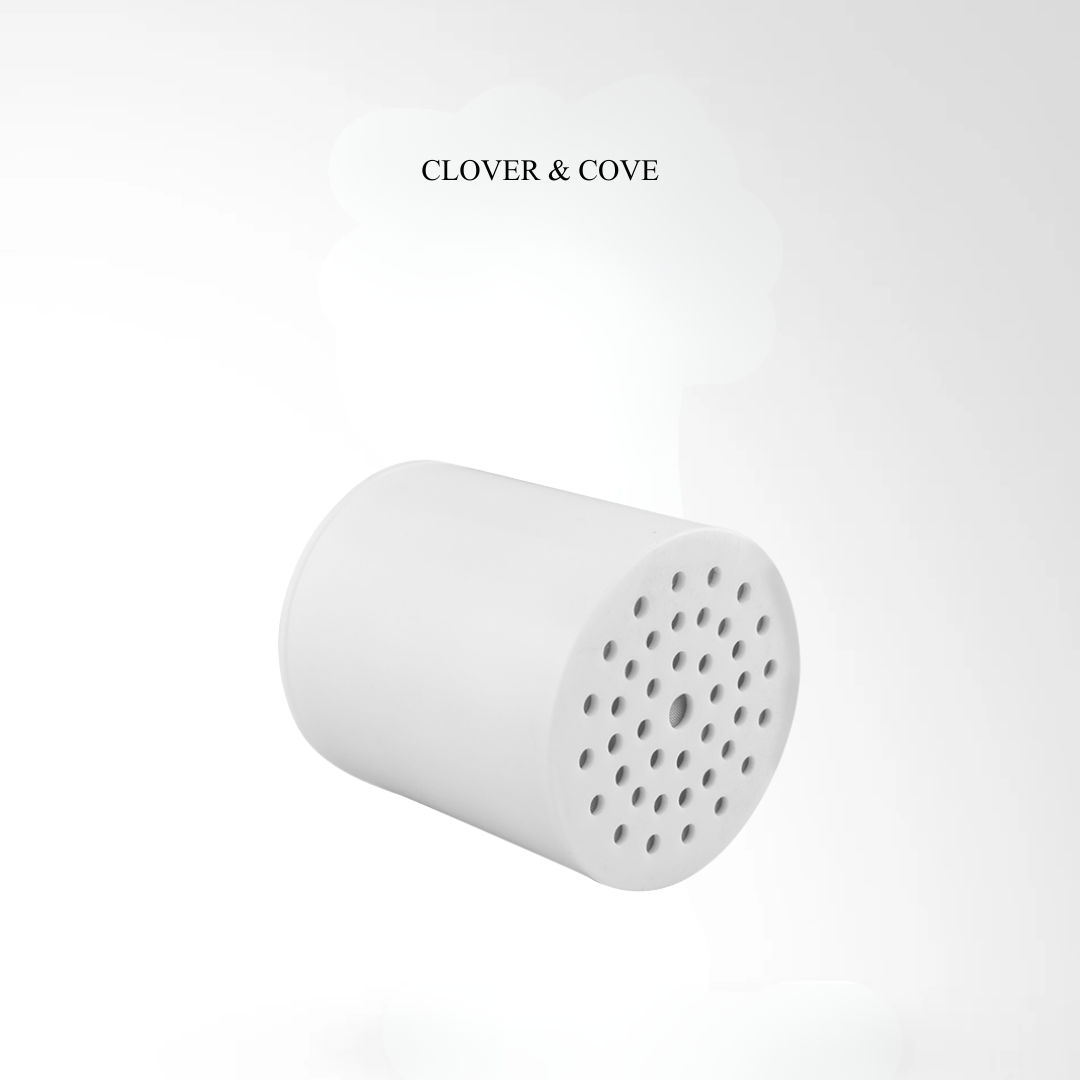 Filtered Showerhead